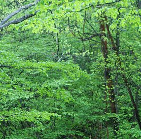 ���_�R�n�@�Ԃ�