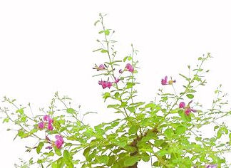 ����ň�N�ԂɂR��Ԃ��ӏ܏o���܂��I�I�I