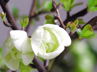 �~�́@�����~