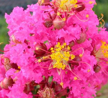 �~�́@���邷�ׂ�