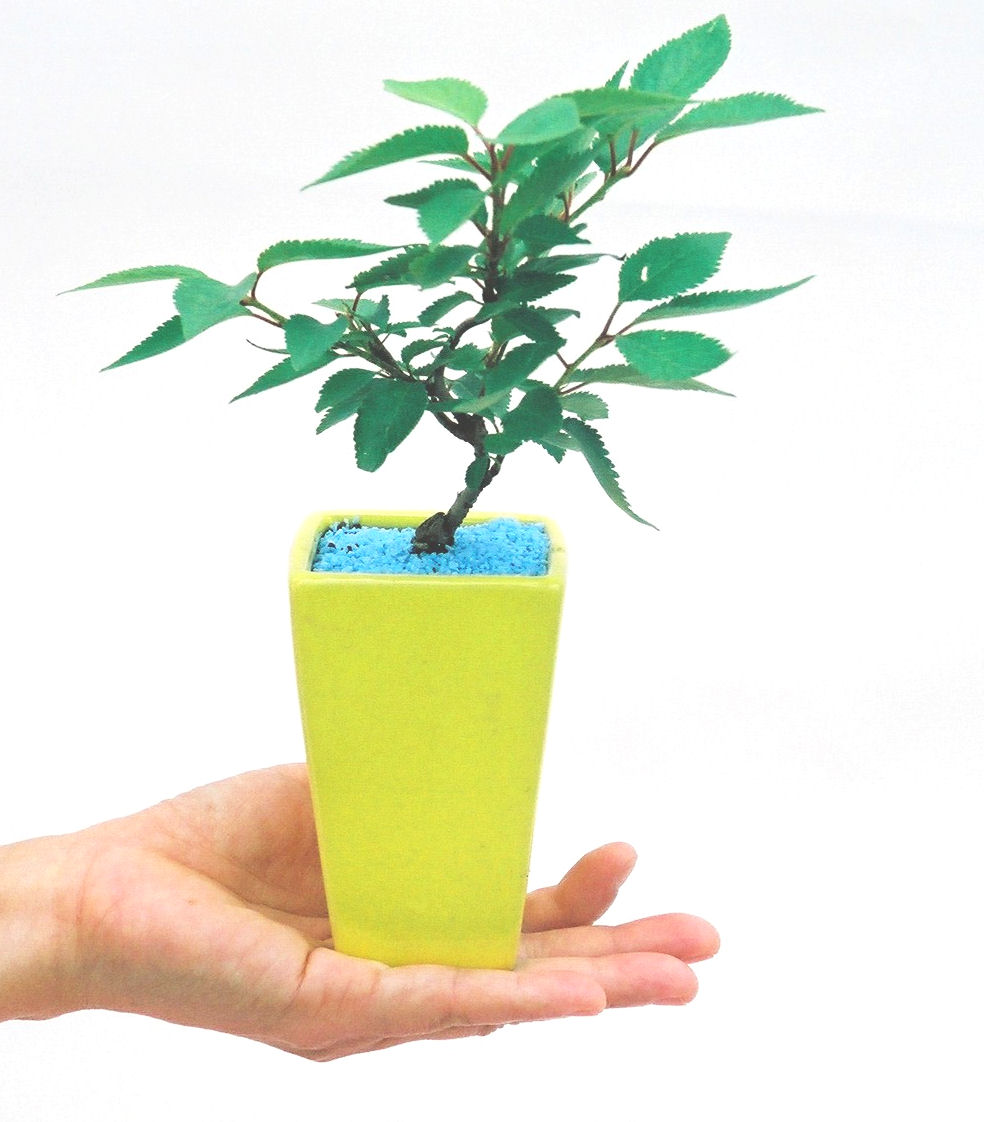 �P�O�����B�t�ƏH�̓��炭�T�N���ł��B�N�Ԃ̒��x�X�g�Z���[�ɂȂ�܂����I�I�I�R���p�N�g�ɉ������܂����B���߂Ă̕��ɂ���Ă₷����v�ȐA���ł��B