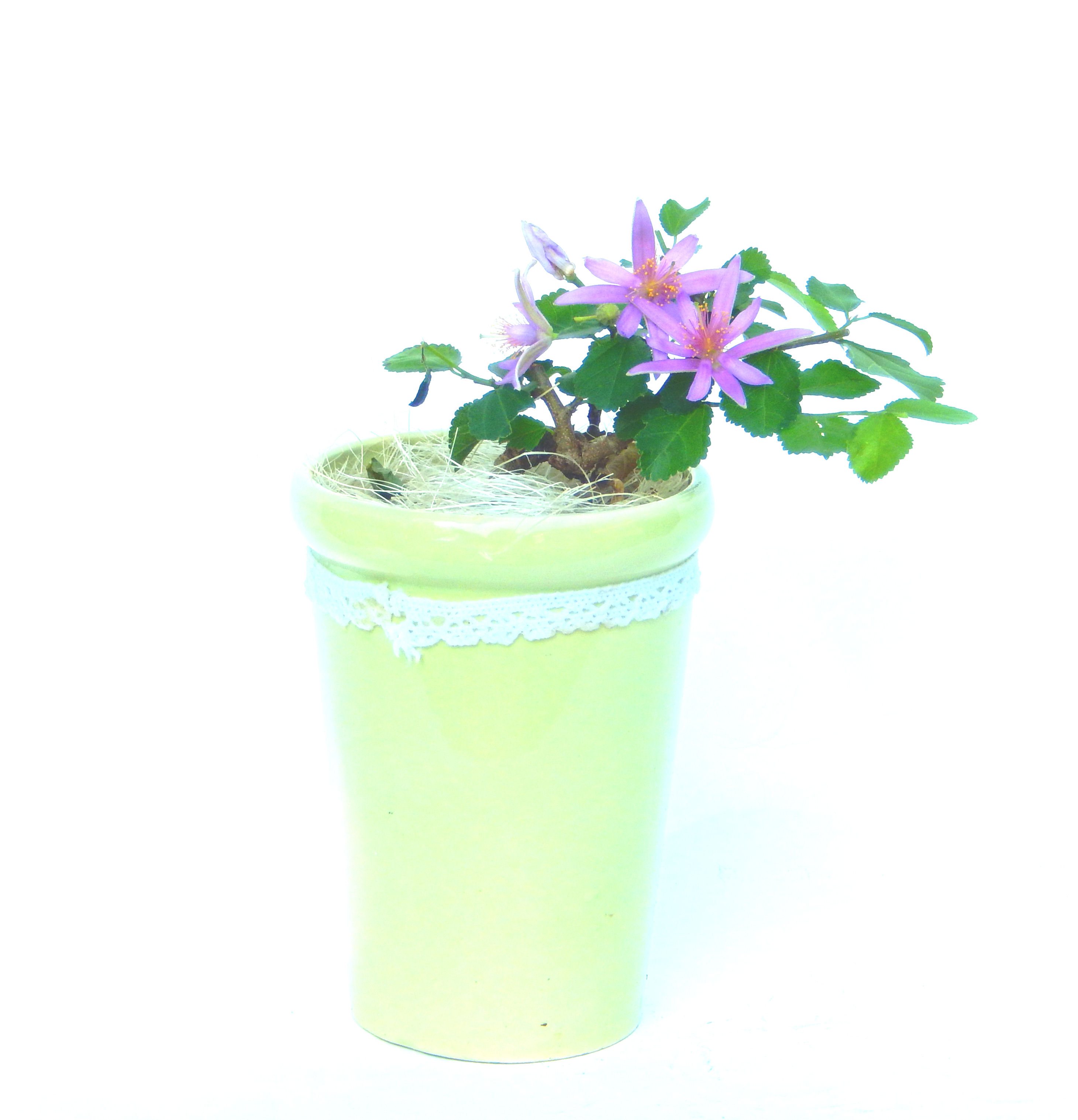 �Q�O�O�Q�N�ȗ��A�N�Ԃ̃x�X�g�Z���[�I�I�I�R���p�N�g�ɉ������܂����B���߂Ă̕��ɂ���Ă₷����v�ȐA���ł��B